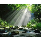 paint by numbers | Lights in the Forest | advanced forest landscapes new arrivals | FiguredArt