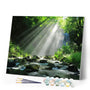 paint by numbers | Lights in the Forest | advanced forest landscapes new arrivals | FiguredArt