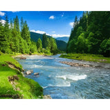 paint by numbers | Small river in the Forest | advanced landscapes new arrivals | FiguredArt