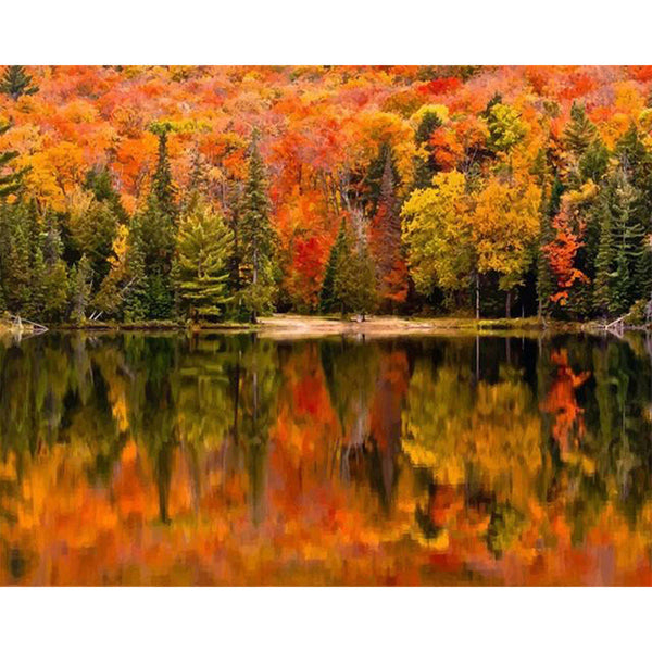 paint by numbers | Lake Reflection in Autumn | advanced landscapes new arrivals | FiguredArt