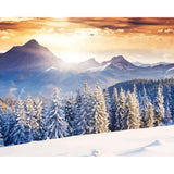 paint by numbers | Forest and Snow | advanced landscapes new arrivals winter | FiguredArt
