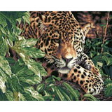 paint by numbers | Leopard on the lookout | animals intermediate leopards trees | FiguredArt