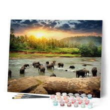 Load image into Gallery viewer, paint by numbers | Elephants in the River | advanced animals elephants new arrivals | FiguredArt