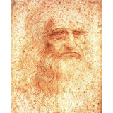 paint by numbers | Leonardo Da Vinci | advanced new arrivals portrait | FiguredArt
