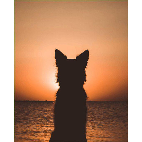 paint by numbers | Dog and Sunset | animals dogs intermediate new arrivals | FiguredArt