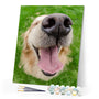 paint by numbers | Dog Mouth | animals dogs intermediate new arrivals | FiguredArt