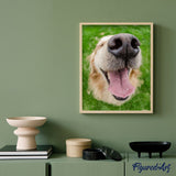 paint by numbers | Dog Mouth | animals dogs intermediate new arrivals | FiguredArt