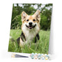 paint by numbers | We love Dogs | animals dogs intermediate new arrivals | FiguredArt