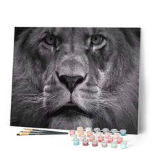 Load image into Gallery viewer, paint by numbers | The Big Lion | advanced animals lions new arrivals | FiguredArt
