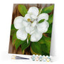 paint by numbers | White Flower and Green Leaves | easy flowers new arrivals | FiguredArt