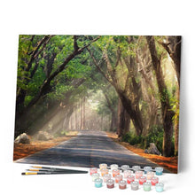 Load image into Gallery viewer, paint by numbers | Forest Road | advanced landscapes new arrivals | FiguredArt