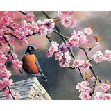 paint by numbers | European Robin in Spring | animals flowers intermediate | FiguredArt