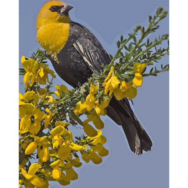 paint by numbers | Yellow Bird | animals birds easy new arrivals | FiguredArt