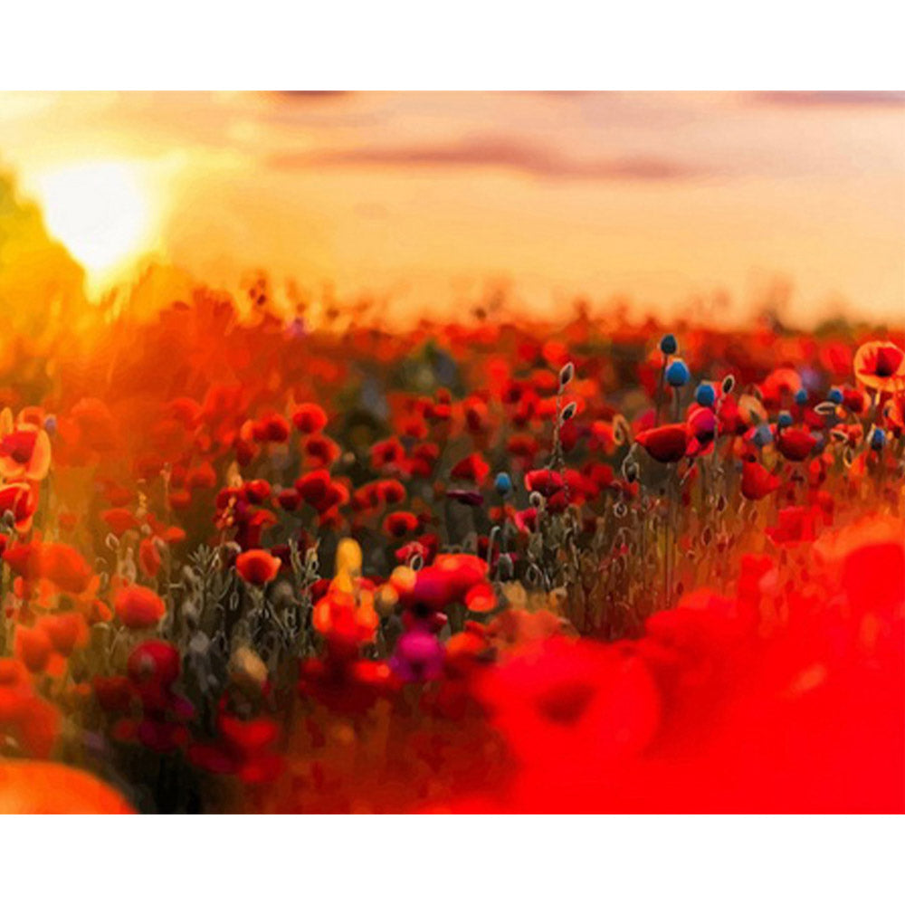 paint by numbers | Flowers in Red | advanced flowers new arrivals | FiguredArt