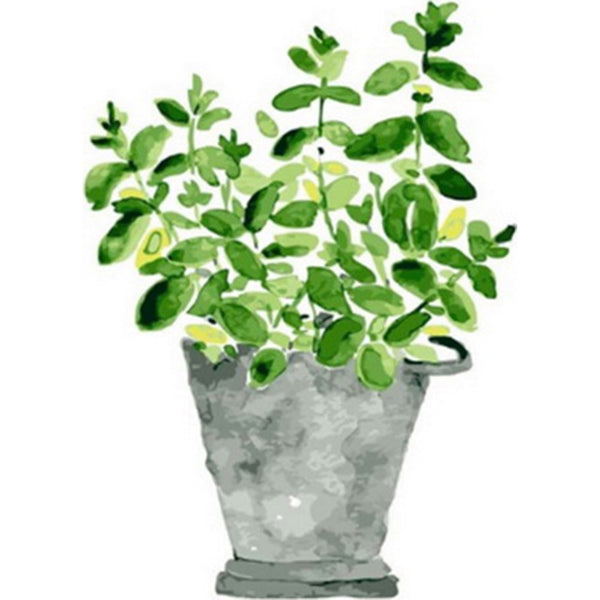 paint by numbers | Pot of plants | easy flowers new arrivals | FiguredArt