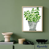 paint by numbers | Pot of plants | easy flowers new arrivals | FiguredArt