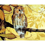 paint by numbers | Pretty owl | animals intermediate owls | FiguredArt