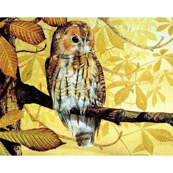 paint by numbers | Pretty owl | animals intermediate owls | FiguredArt