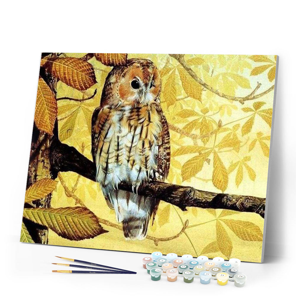 paint by numbers | Pretty owl | animals intermediate owls | FiguredArt