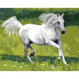 paint by numbers | White Horse in the Field | animals easy horses | FiguredArt