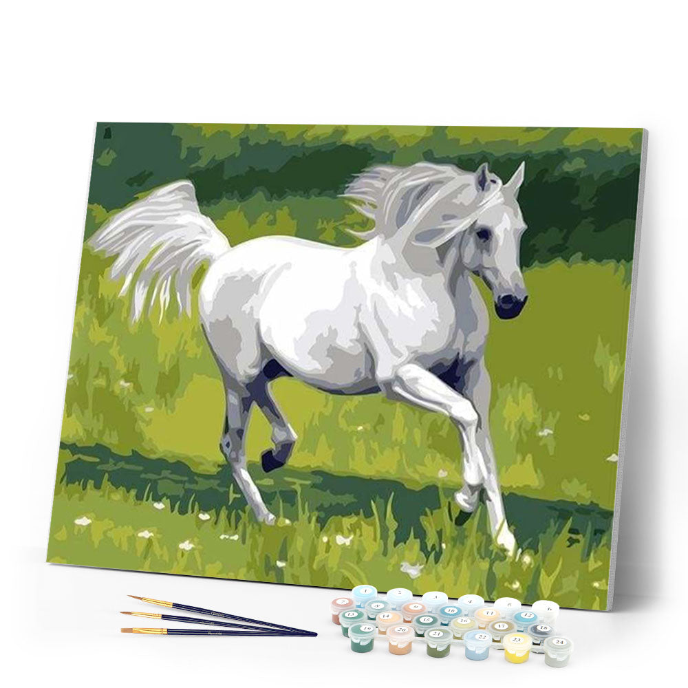 paint by numbers | White Horse in the Field | animals easy horses | FiguredArt