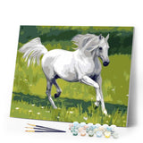paint by numbers | White Horse in the Field | animals easy horses | FiguredArt