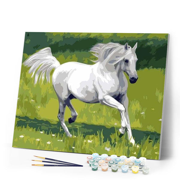 paint by numbers | White Horse in the Field | animals easy horses | FiguredArt