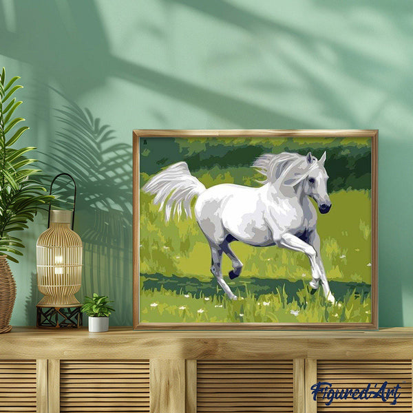 paint by numbers | White Horse in the Field | animals easy horses | FiguredArt