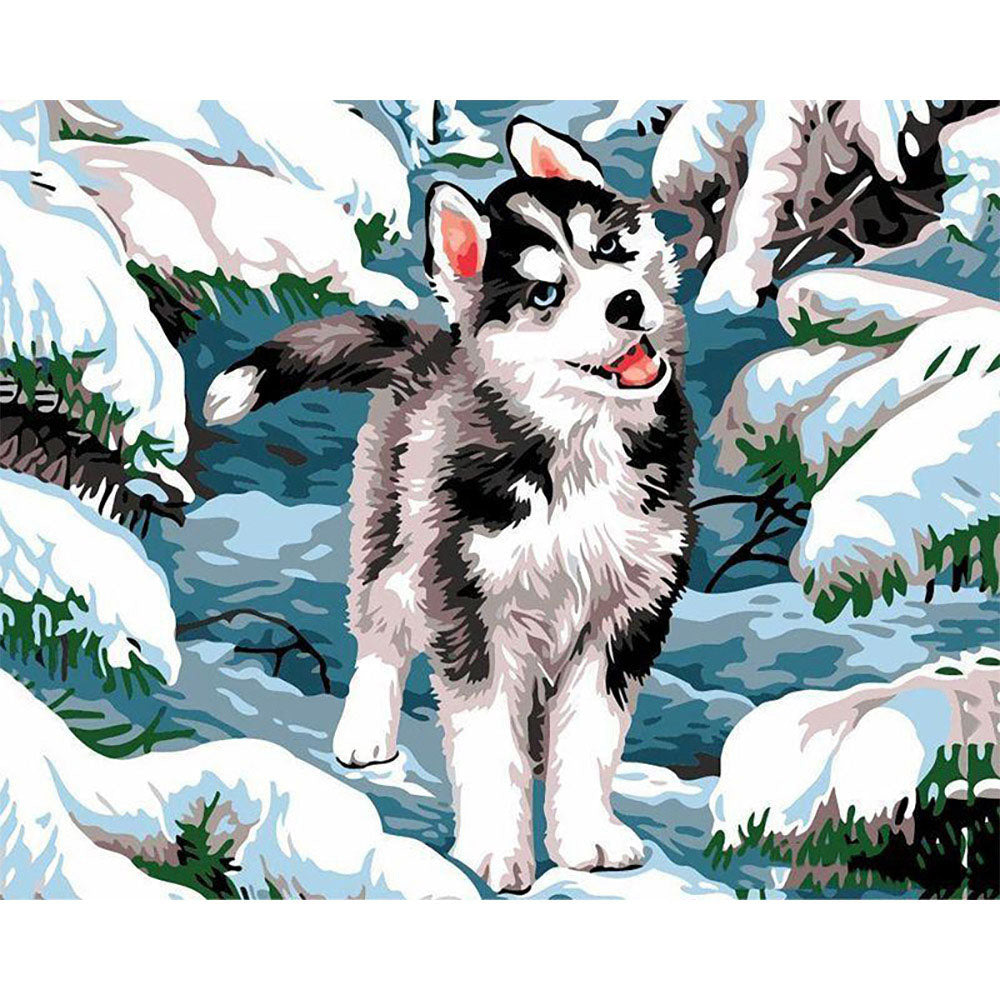 paint by numbers | siberian husky | new arrivals animals dogs winter intermediate | FiguredArt