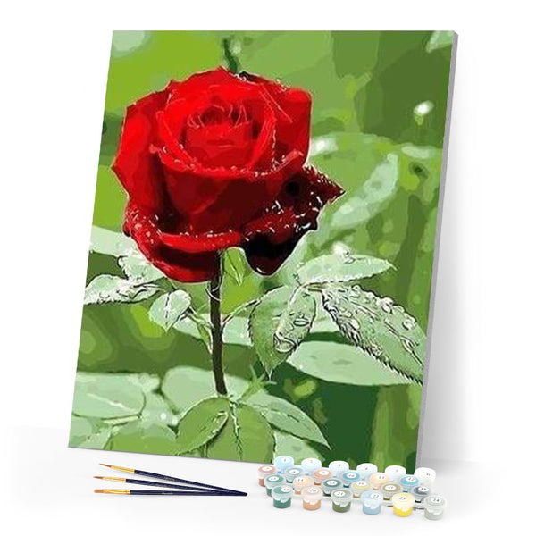 paint by numbers | Red rose and Water Drop | easy flowers | FiguredArt