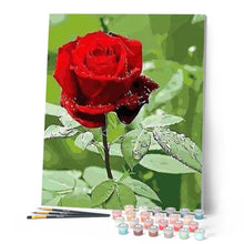 Load image into Gallery viewer, paint by numbers | Red rose and Water Drop | easy flowers | FiguredArt