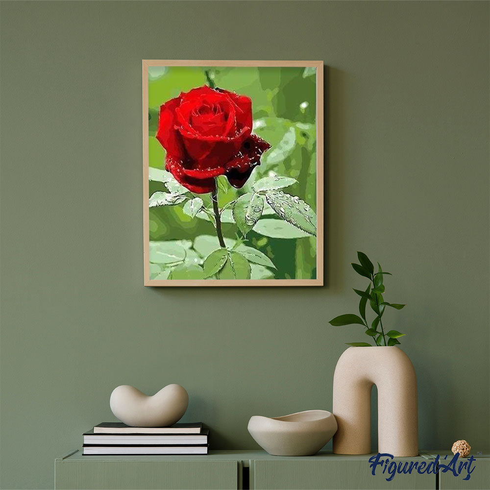 paint by numbers | Red rose and Water Drop | easy flowers | FiguredArt