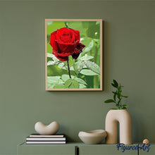 Load image into Gallery viewer, paint by numbers | Red rose and Water Drop | easy flowers | FiguredArt