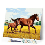 paint by numbers | Horse and Foal in the field | animals easy horses | FiguredArt
