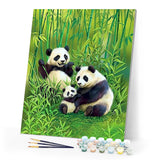 paint by numbers | family of pandas in the forest | new arrivals animals pandas advanced | FiguredArt