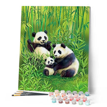 Load image into Gallery viewer, paint by numbers | family of pandas in the forest | new arrivals animals pandas advanced | FiguredArt