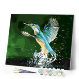 paint by numbers | kingfisher taking flight | new arrivals animals birds easy | FiguredArt