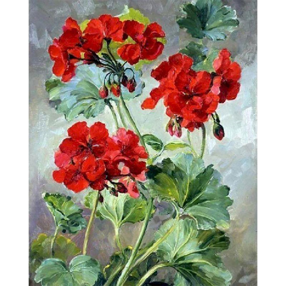 paint by numbers | red geraniums | new arrivals flowers advanced | FiguredArt