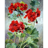 paint by numbers | red geraniums | new arrivals flowers advanced | FiguredArt