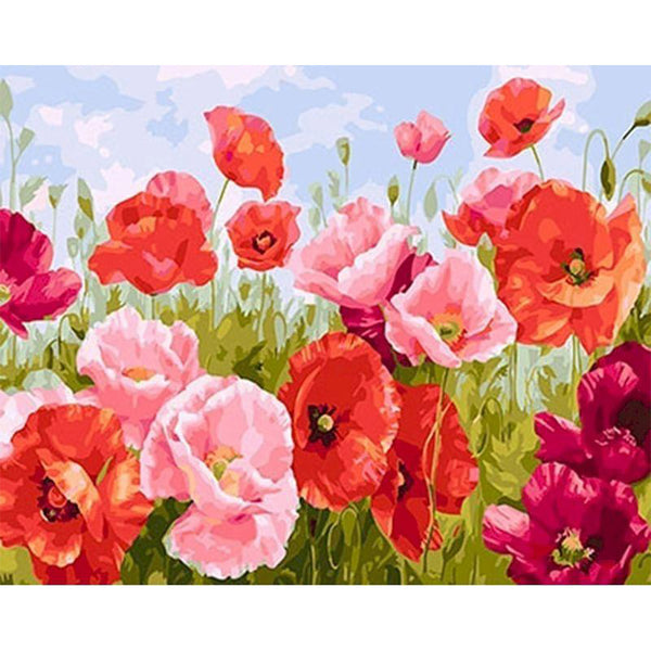 paint by numbers | common poppy | new arrivals flowers intermediate | FiguredArt
