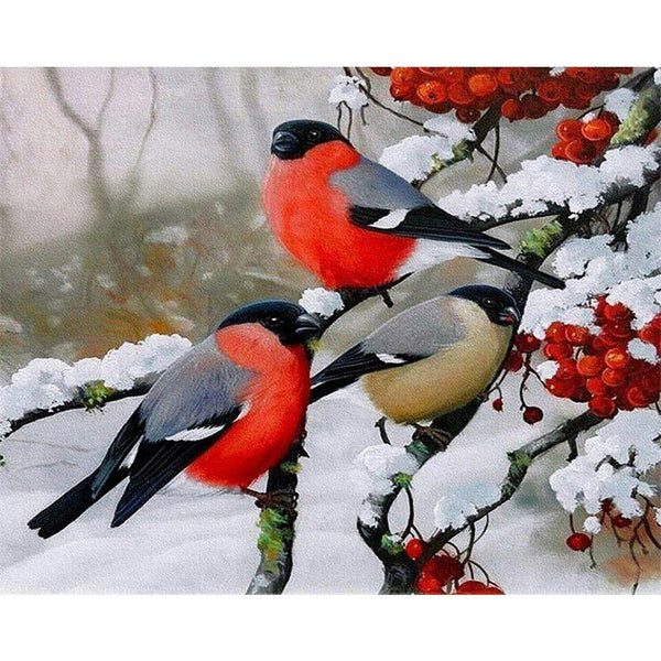 paint by numbers | european robin during winter | new arrivals animals birds winter advanced | FiguredArt