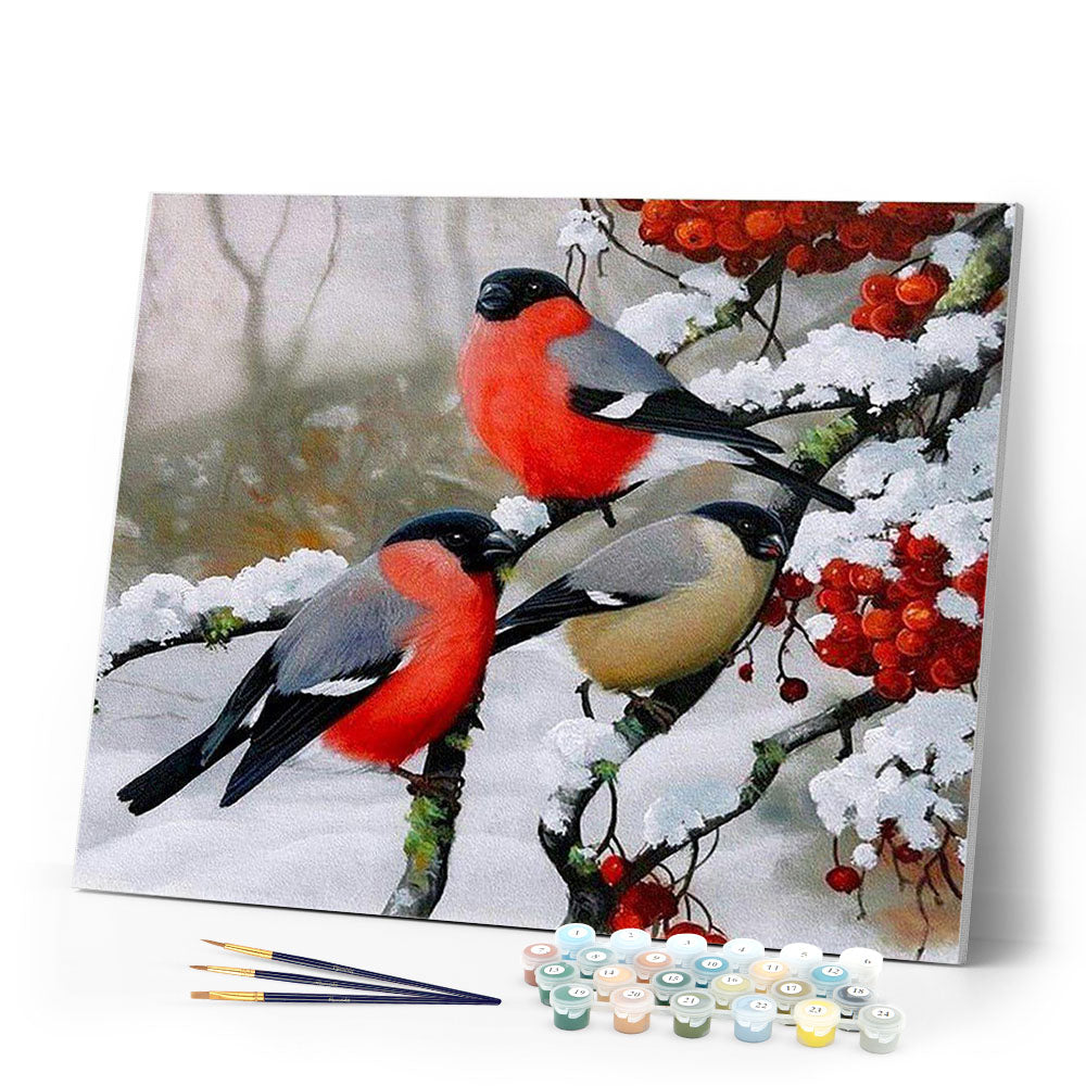 paint by numbers | european robin during winter | new arrivals animals birds winter advanced | FiguredArt