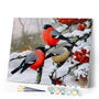 paint by numbers | european robin during winter | new arrivals animals birds winter advanced | FiguredArt