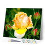 paint by numbers | yellow rosebud flower | new arrivals flowers easy | FiguredArt