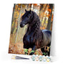 paint by numbers | black horse in the forest | new arrivals animals horses intermediate | FiguredArt