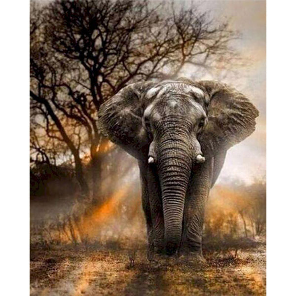 paint by numbers | lonely elephant | new arrivals animals elephants advanced | FiguredArt
