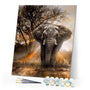paint by numbers | lonely elephant | new arrivals animals elephants advanced | FiguredArt