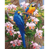 paint by numbers | Two Parrots | advanced animals birds parrots | FiguredArt