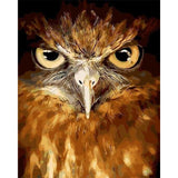 paint by numbers | Piercing eyes Hawk | animals birds intermediate owls | FiguredArt