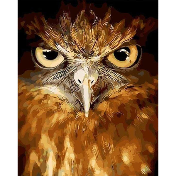 paint by numbers | Piercing eyes Hawk | animals birds intermediate owls | FiguredArt